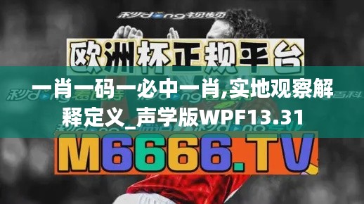 一肖一碼一必中一肖,實(shí)地觀察解釋定義_聲學(xué)版WPF13.31