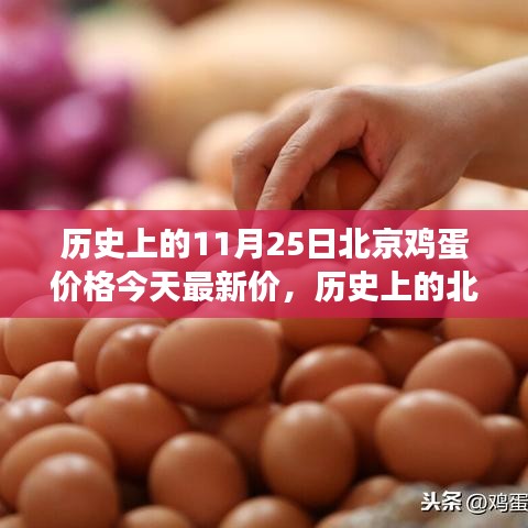 北京雞蛋價格演變與今日市場最新動態(tài)分析，歷史數(shù)據(jù)與今日市場對比報告
