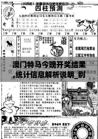 澳門特馬今晚開獎結(jié)果,統(tǒng)計信息解析說明_別致版AGK7.74