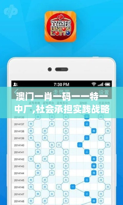 澳門一肖一碼一一特一中廠,社會承擔實踐戰(zhàn)略_車載版ZYM7.39