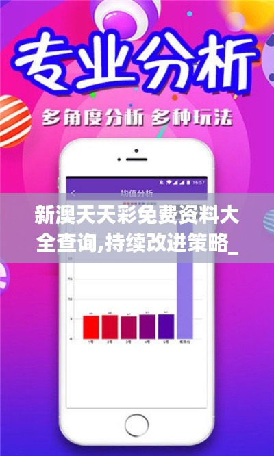 新澳天天彩免費資料大全查詢,持續(xù)改進策略_私密版FAZ7.99