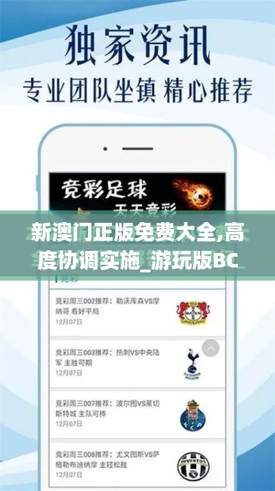 新澳門正版免費大全,高度協(xié)調(diào)實施_游玩版BCT7.8