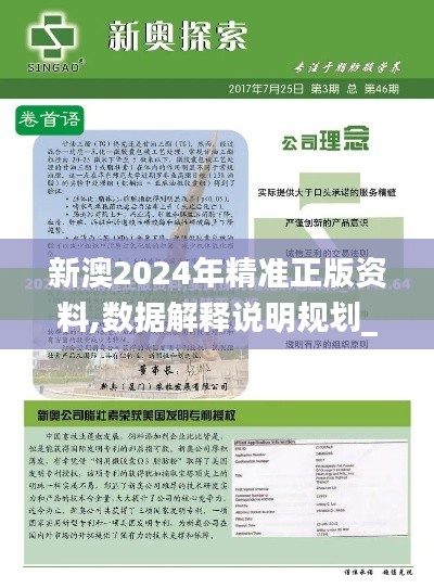 新澳2024年精準(zhǔn)正版資料,數(shù)據(jù)解釋說(shuō)明規(guī)劃_云端版IXM7.74