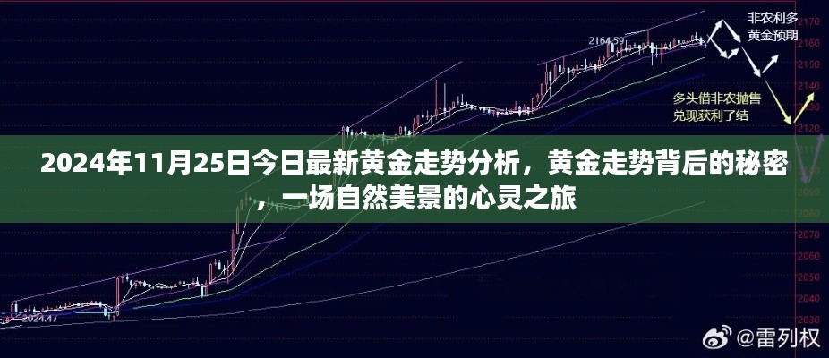 揭秘黃金走勢(shì)背后的秘密，自然美景的心靈之旅（最新黃金走勢(shì)分析）