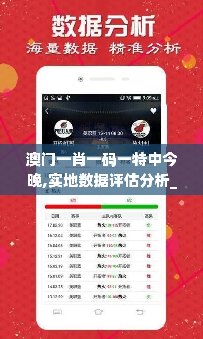澳門一肖一碼一特中今晚,實地數(shù)據(jù)評估分析_SE版ZSM7.40