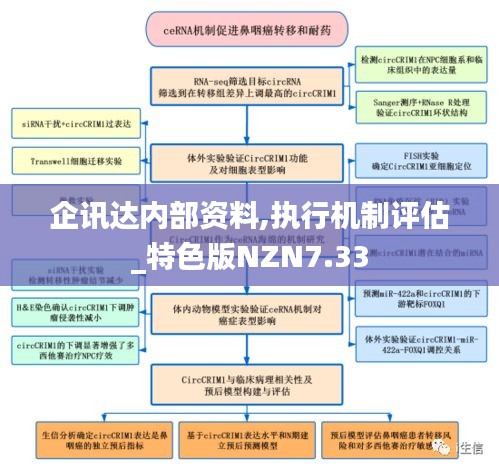 企訊達內(nèi)部資料,執(zhí)行機制評估_特色版NZN7.33