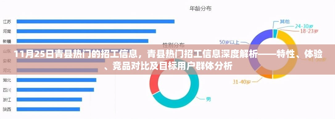 青縣熱門招工信息解析，特性、體驗、競品對比與目標用戶群體深度剖析（XXXX年）