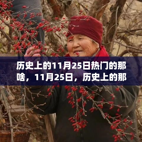 歷史上的溫馨趣事與深厚友情，聚焦11月25日的那些精彩瞬間