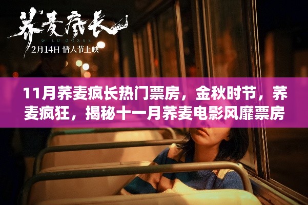 揭秘十一月蕎麥電影風(fēng)靡背后的故事，金秋時(shí)節(jié)蕎麥瘋狂引領(lǐng)票房熱潮