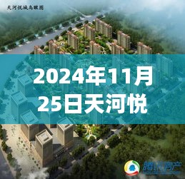 天河悅城最新動態(tài)，2024年11月25日的溫馨日常與趣事