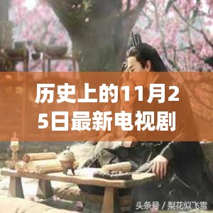 心向遠(yuǎn)方，追尋自然美景的電視劇之旅，手機(jī)在線觀看，歷史11月25日