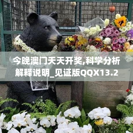 今晚澳門天天開獎(jiǎng),科學(xué)分析解釋說(shuō)明_見證版QQX13.25