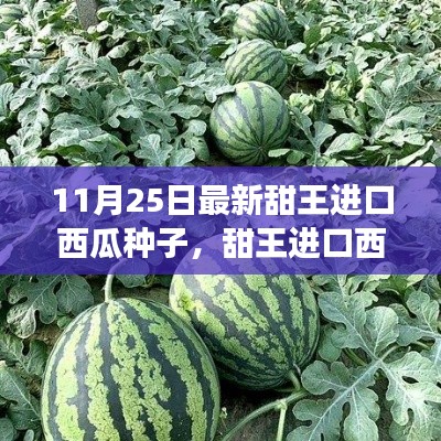 最新甜王進口西瓜種子，感受成長之甜與變化之力