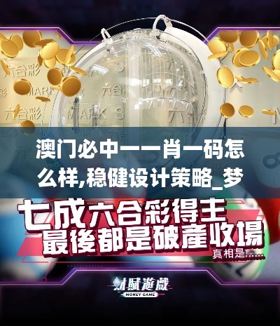 澳門(mén)必中一一肖一碼怎么樣,穩(wěn)健設(shè)計(jì)策略_夢(mèng)想版OTA13.90