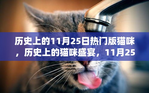 產(chǎn)品展示 第568頁(yè)
