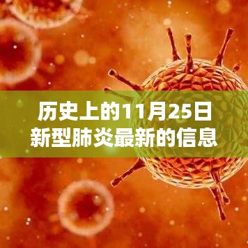 歷史上的11月25日，新型肺炎最新信息深度解析與回顧