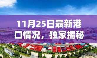 獨(dú)家揭秘，智能港口大腦重塑港口新紀(jì)元——最新港口情況報(bào)道（11月25日）