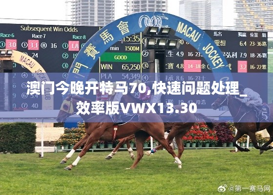澳門今晚開特馬70,快速問(wèn)題處理_效率版VWX13.30
