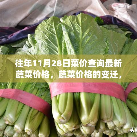 尋找自信與成就感的種子，蔬菜價(jià)格的變遷與歷年11月28日最新菜價(jià)查詢