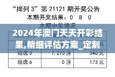 2024年澳門天天開彩結(jié)果,精細評估方案_定制版QRM13.2
