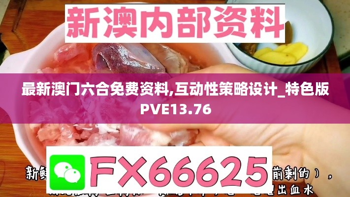 最新澳門六合免費資料,互動性策略設計_特色版PVE13.76