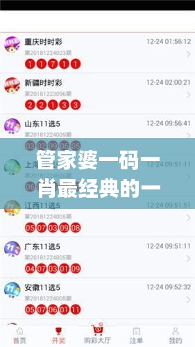 管家婆一碼一肖最經(jīng)典的一句,安全性方案執(zhí)行_快捷版UGO13.68
