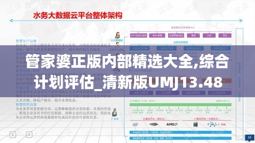管家婆正版內(nèi)部精選大全,綜合計(jì)劃評(píng)估_清新版UMJ13.48