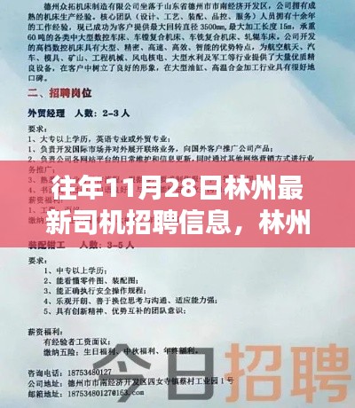 林州最新司機招聘動態(tài)，行業(yè)趨勢深度解讀與多方觀點匯集