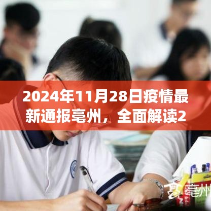 2024年11月28日亳州疫情最新通報(bào)全面解讀，特性、體驗(yàn)、競(jìng)品對(duì)比及用戶分析