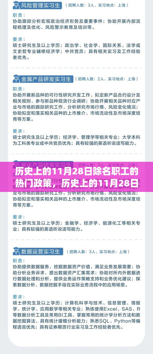歷史上的11月28日除名職工政策下的智能生活革新之旅，智能助手體驗(yàn)探索