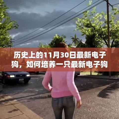 歷史上的11月30日，最新電子狗的培養(yǎng)指南與詳細(xì)指南解析