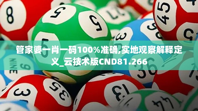 管家婆一肖一碼100%準(zhǔn)確,實(shí)地觀察解釋定義_云技術(shù)版CND81.266