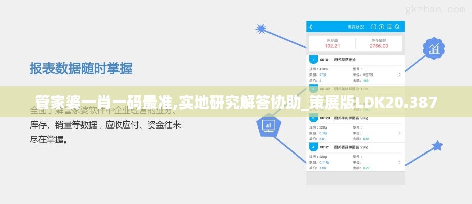 管家婆一肖一碼最準(zhǔn),實(shí)地研究解答協(xié)助_策展版LDK20.387