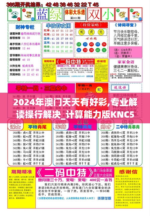 2024年澳門天天有好彩,專業(yè)解讀操行解決_計(jì)算能力版KNC54.199