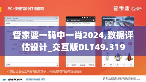 管家婆一碼中一肖2024,數(shù)據(jù)評估設(shè)計_交互版DLT49.319