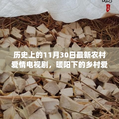 暖陽下的鄉(xiāng)村愛情，十一月三十日的甜蜜日常