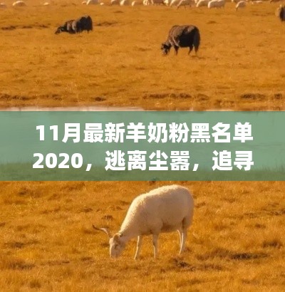 羊奶粉黑名單揭秘，追尋心靈寧靜之旅的別樣風(fēng)情