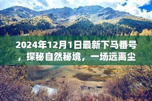 探秘自然秘境，啟程于2024年心靈之旅的冒險(xiǎn)號(hào)角