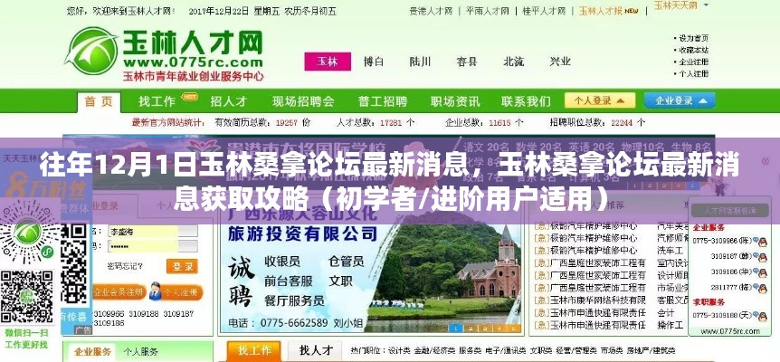 往年12月1日玉林桑拿論壇最新消息全解析，獲取攻略初學者與進階用戶必讀