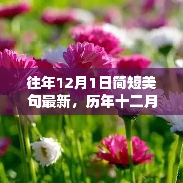 歷年十二月一日美妙瞬間盤點，簡短美句集錦