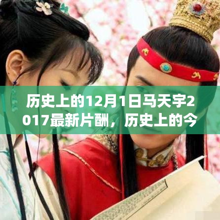 歷史上的今天，揭秘馬天宇勵志片酬之旅見證智慧與力量的蛻變