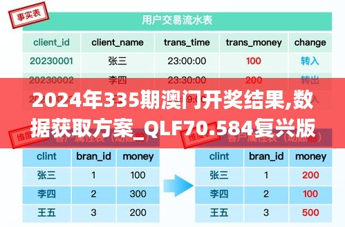 2024年335期澳門開獎(jiǎng)結(jié)果,數(shù)據(jù)獲取方案_QLF70.584復(fù)興版