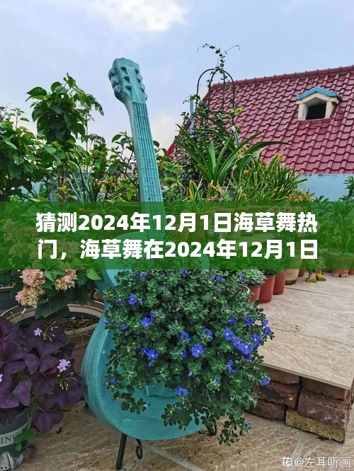 2024年12月1日海草舞流行趨勢預(yù)測，熱門舞蹈風潮再起
