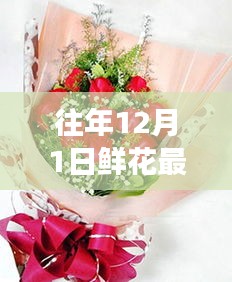 往年12月1日鮮花最新包裝圖片探析，視覺(jué)盛宴的背后利與弊