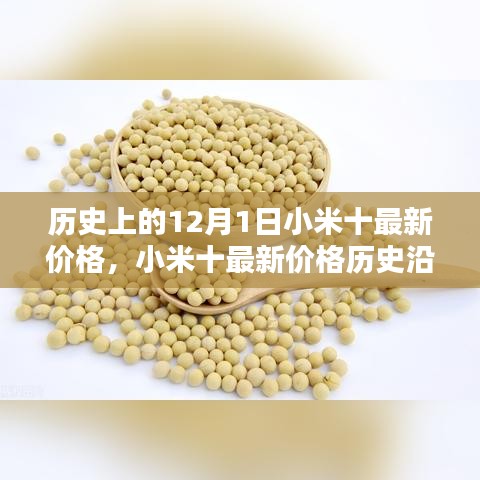 小米十最新價(jià)格深度解析，歷史沿革、目標(biāo)用戶群體分析與深度評(píng)測(cè)報(bào)告