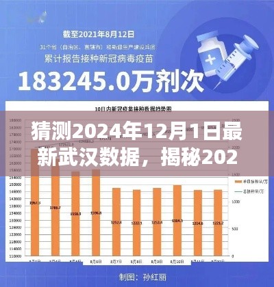 揭秘武漢未來，深度分析與預(yù)測，預(yù)測武漢最新數(shù)據(jù)至2024年12月1日揭曉！