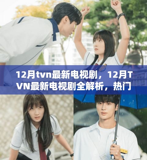 12月TVN新劇全解析，熱門新劇一網(wǎng)打盡