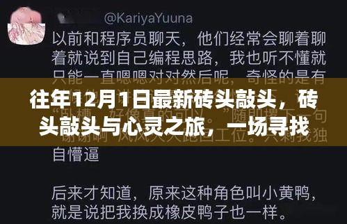 尋找內(nèi)心平靜的奇妙冒險(xiǎn)，磚頭敲頭與心靈之旅