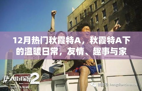 秋霞特A下的溫暖日常，友情、趣事與家的味道，12月熱門精選