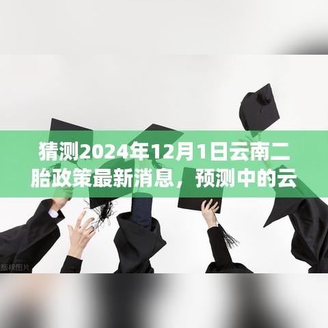 解讀未來(lái)趨勢(shì)，預(yù)測(cè)云南二胎政策新動(dòng)向及最新消息（預(yù)計(jì)于2024年12月1日實(shí)施）